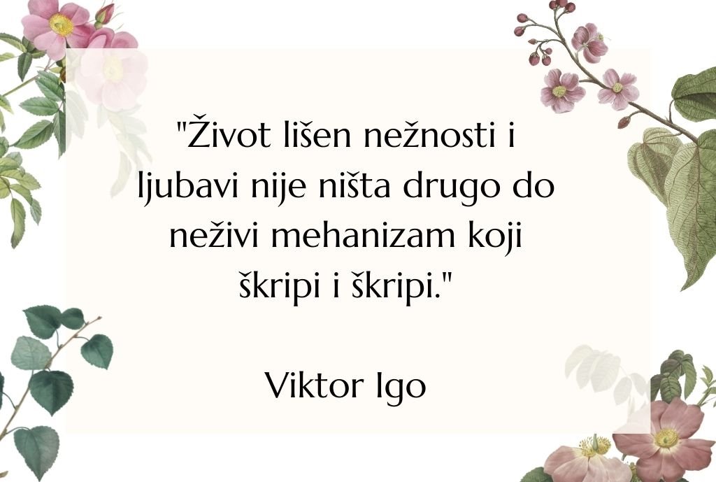 citati viktor igo (7)