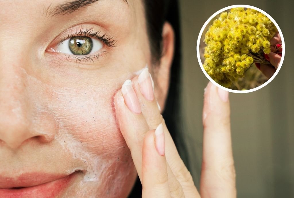 smilje biljka nega koze