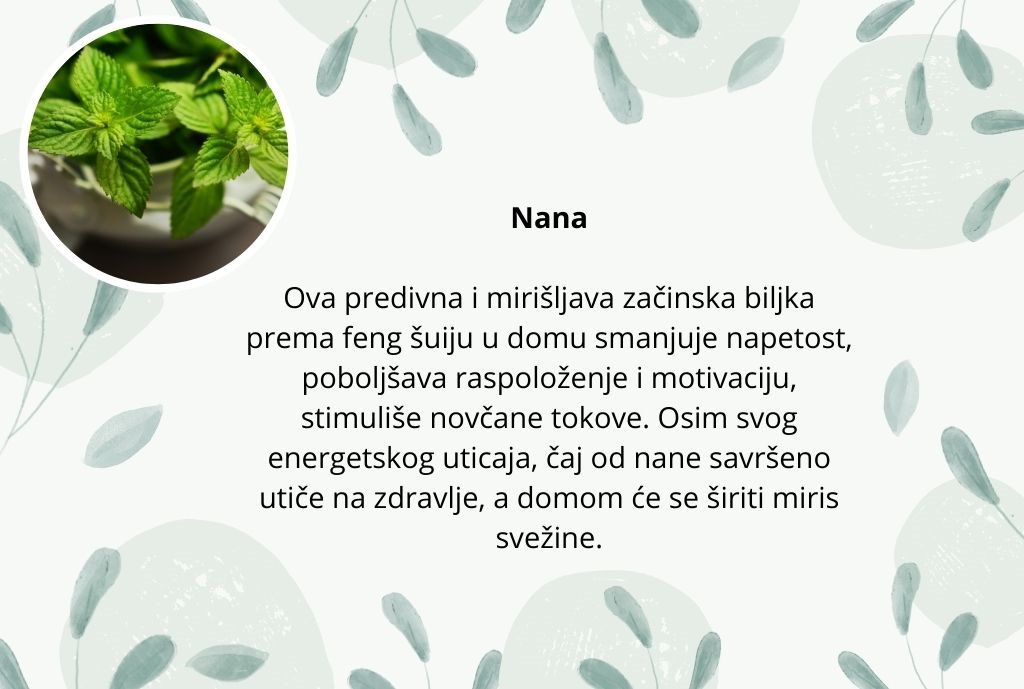 cvece negativna energija (3).jpg