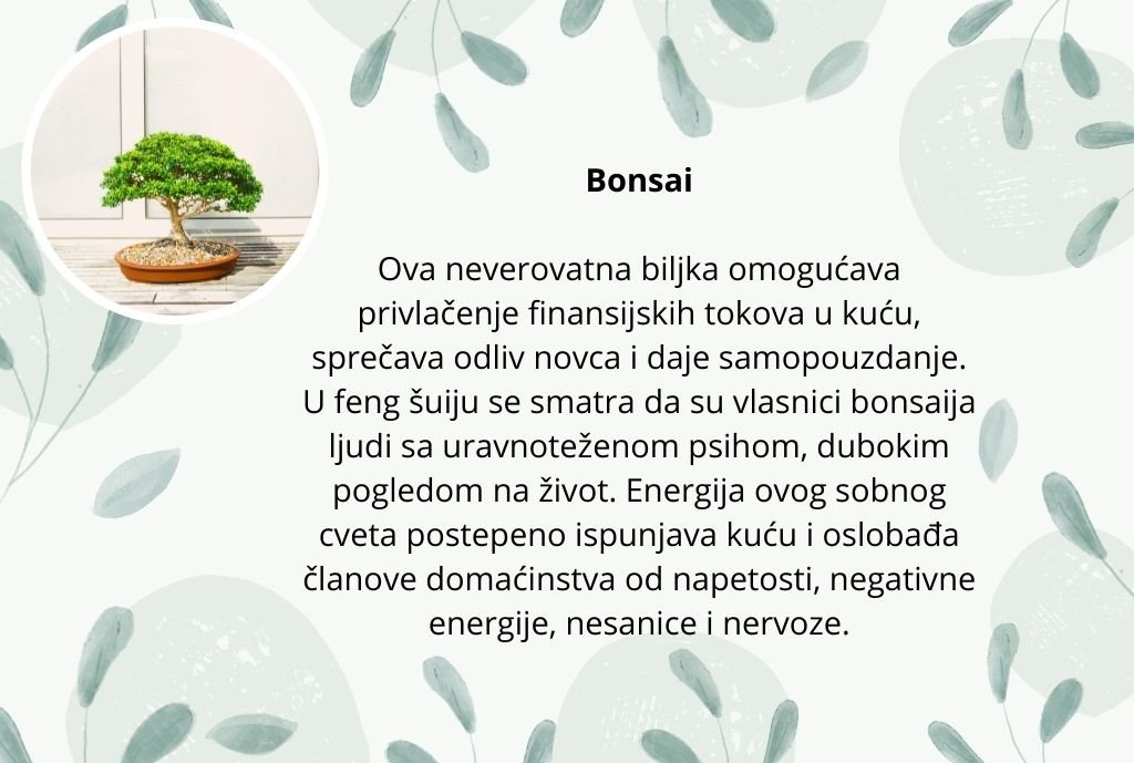 cvece negativna energija (2).jpg