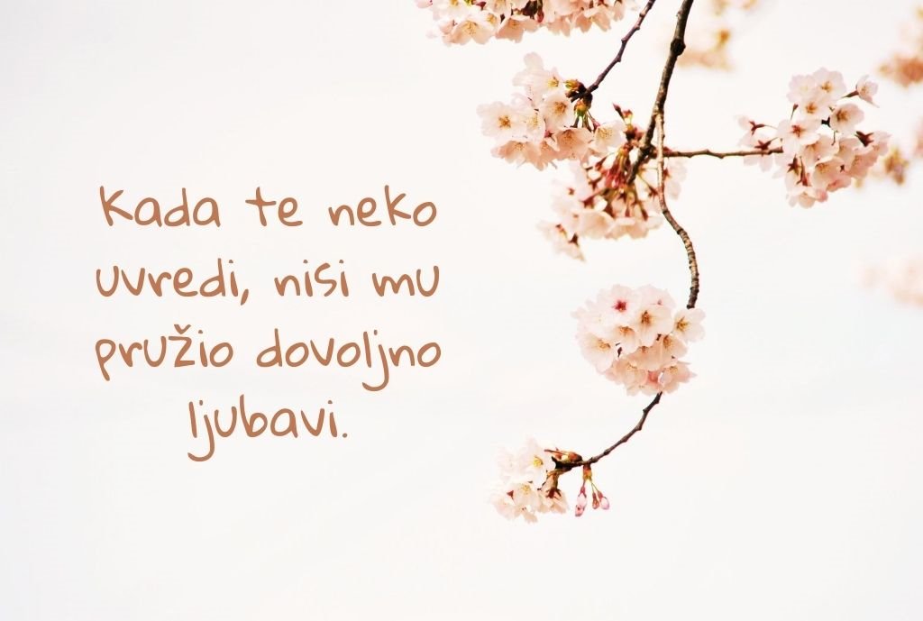 Da ponovo živim svoj život, našao bih te ranije. (12).jpg
