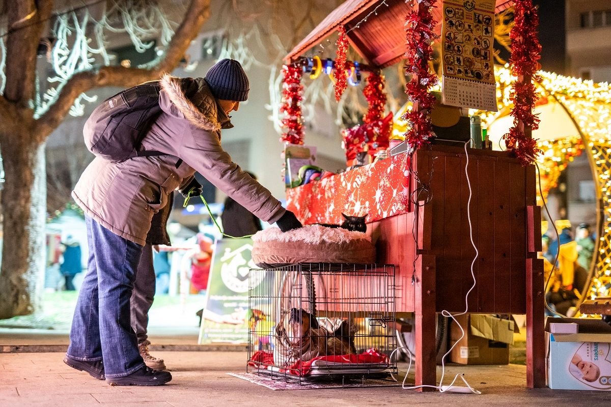 starogradska zima006.jpg