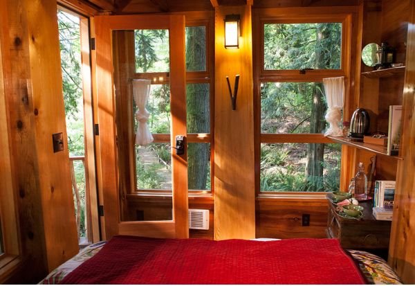 Hram plavog meseca na drvetu