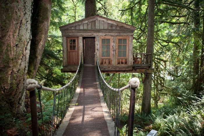 Hram plavog meseca na drvetu