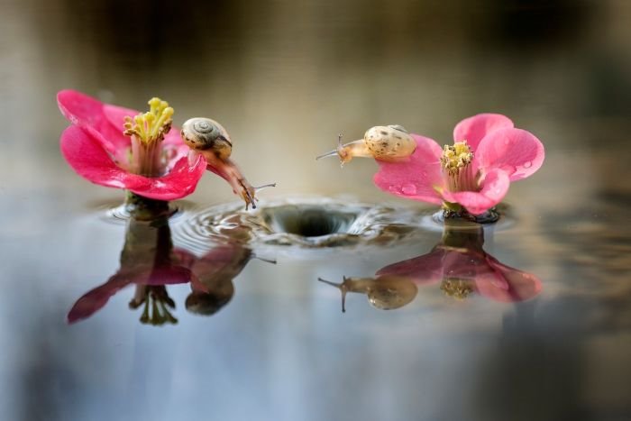 Lepota je osa oko koje se vrti svet