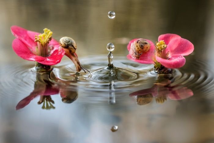 Lepota je osa oko koje se vrti svet