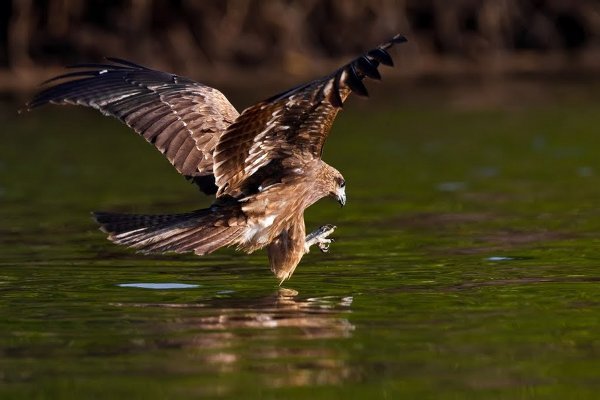 Ostvarite svoje ciljeve