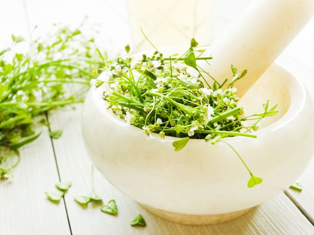 Šta sve leči rusomača.