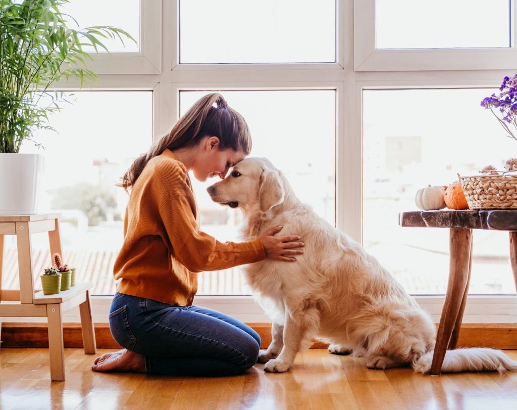 Koje terapetusko dejstvo imaju kućni ljubimci