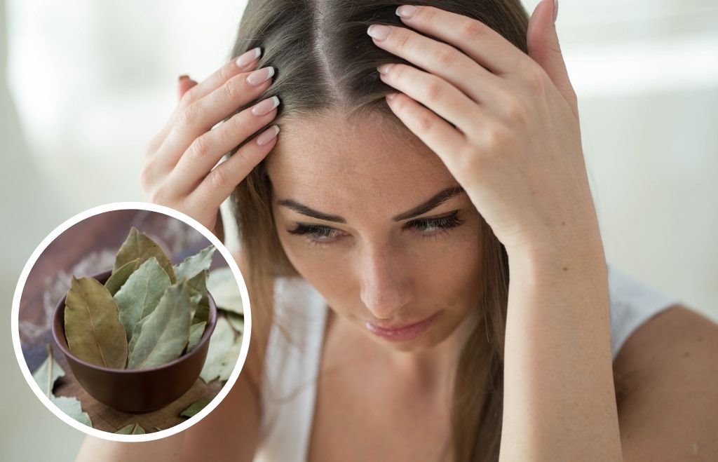 Kako da iskoristite lovorov list protiv peruti.