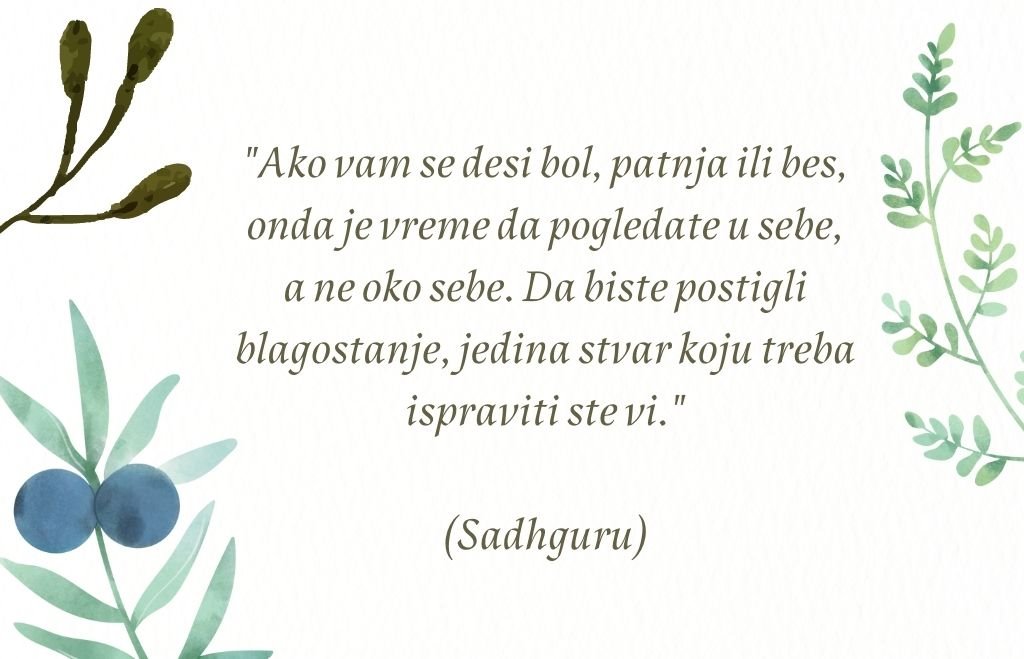Citati Sadhguru (12).jpg