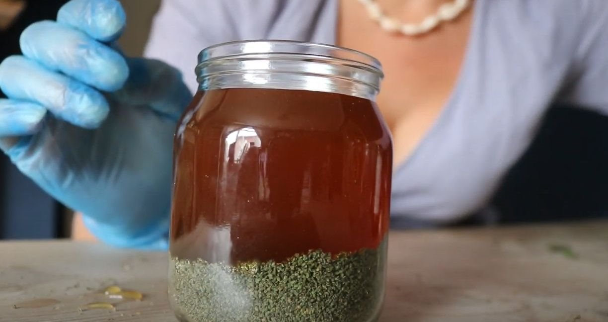 Prirodni preparat za anemiju s koprivom i medom