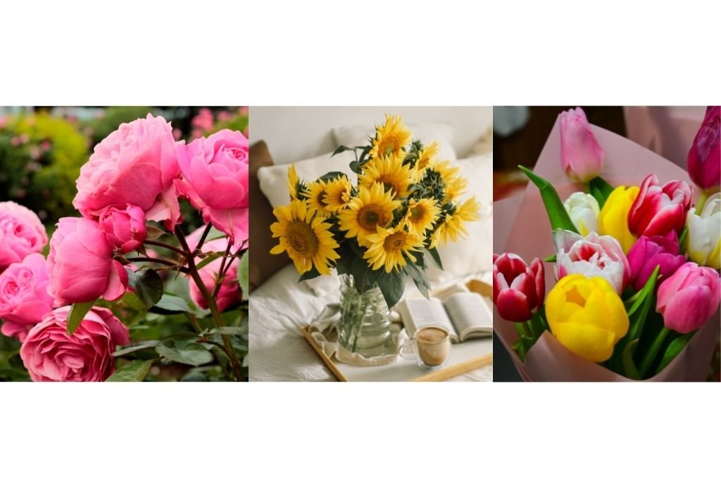 Test šta omiljeni cvet govori o vašoj ličnosti