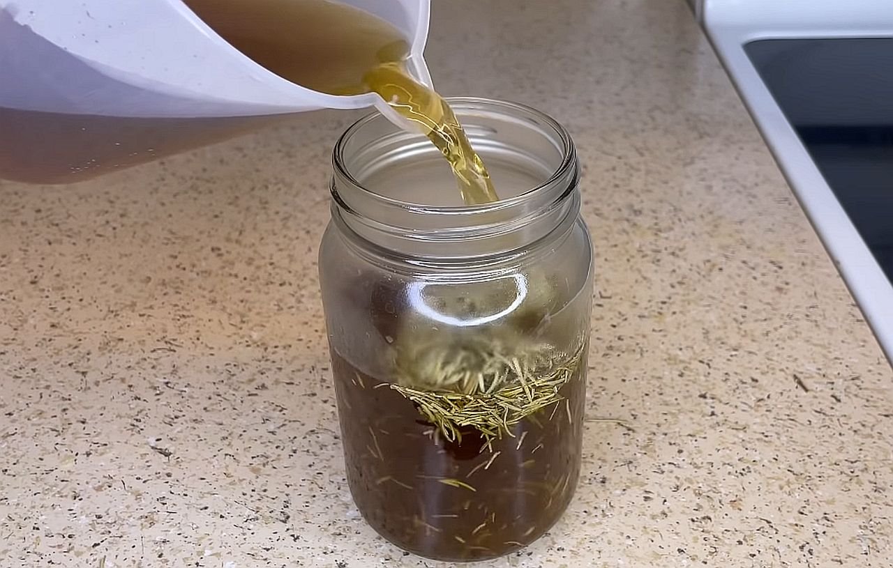 Infuzija za rast kose od koprive.jpg