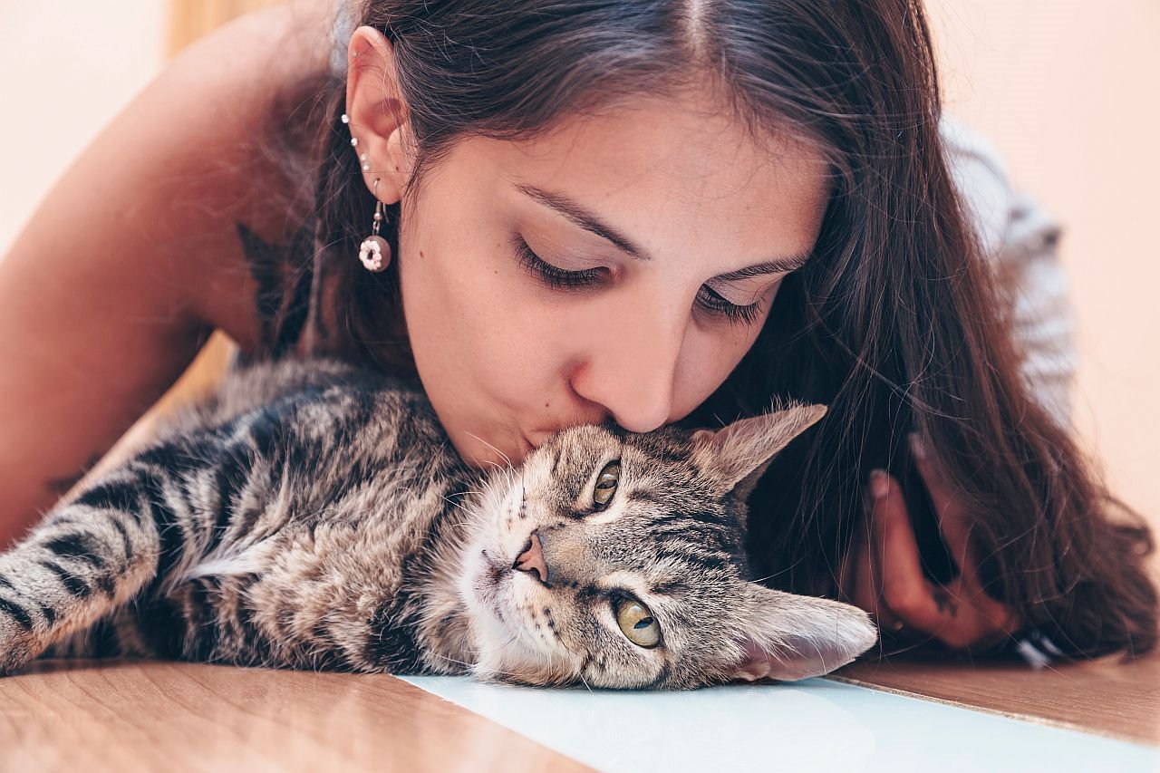 Kako mačka pokazuje da vas voli.