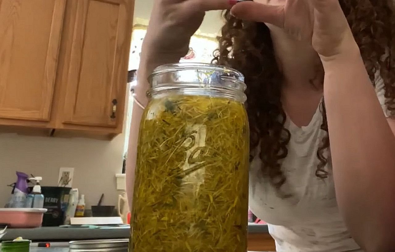 Recept za ulje od maslačka.