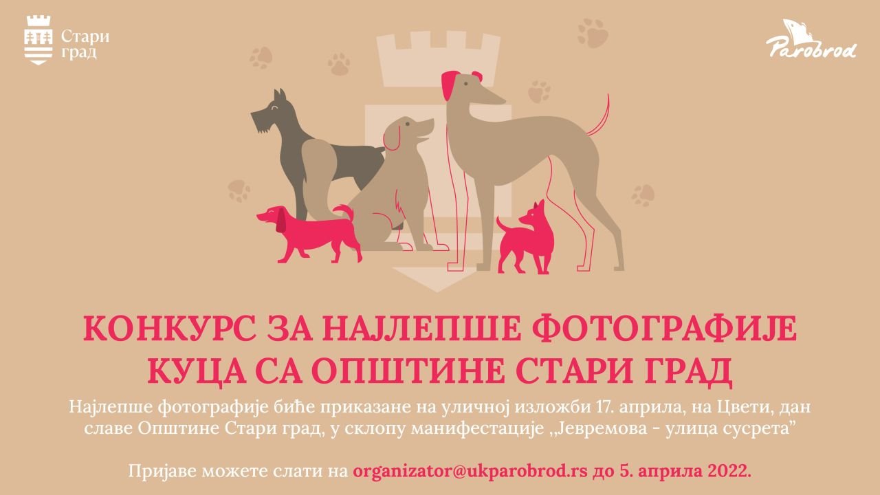 Konkurs za najlepše kuce sa optšine Stari grad