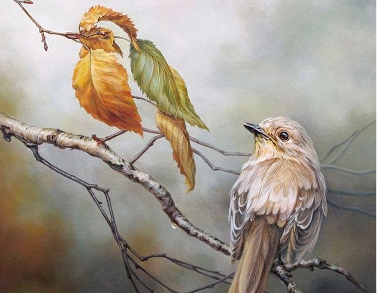 Test ličnosti otkriva kakva ste osoba