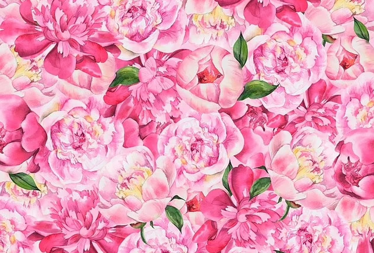 Test pronađite leptira na slici.jpg