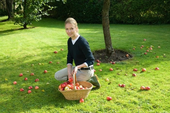 Hrana je lek u menopauzi