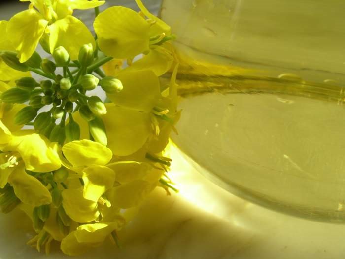 Sedam najboljih detoks saveta