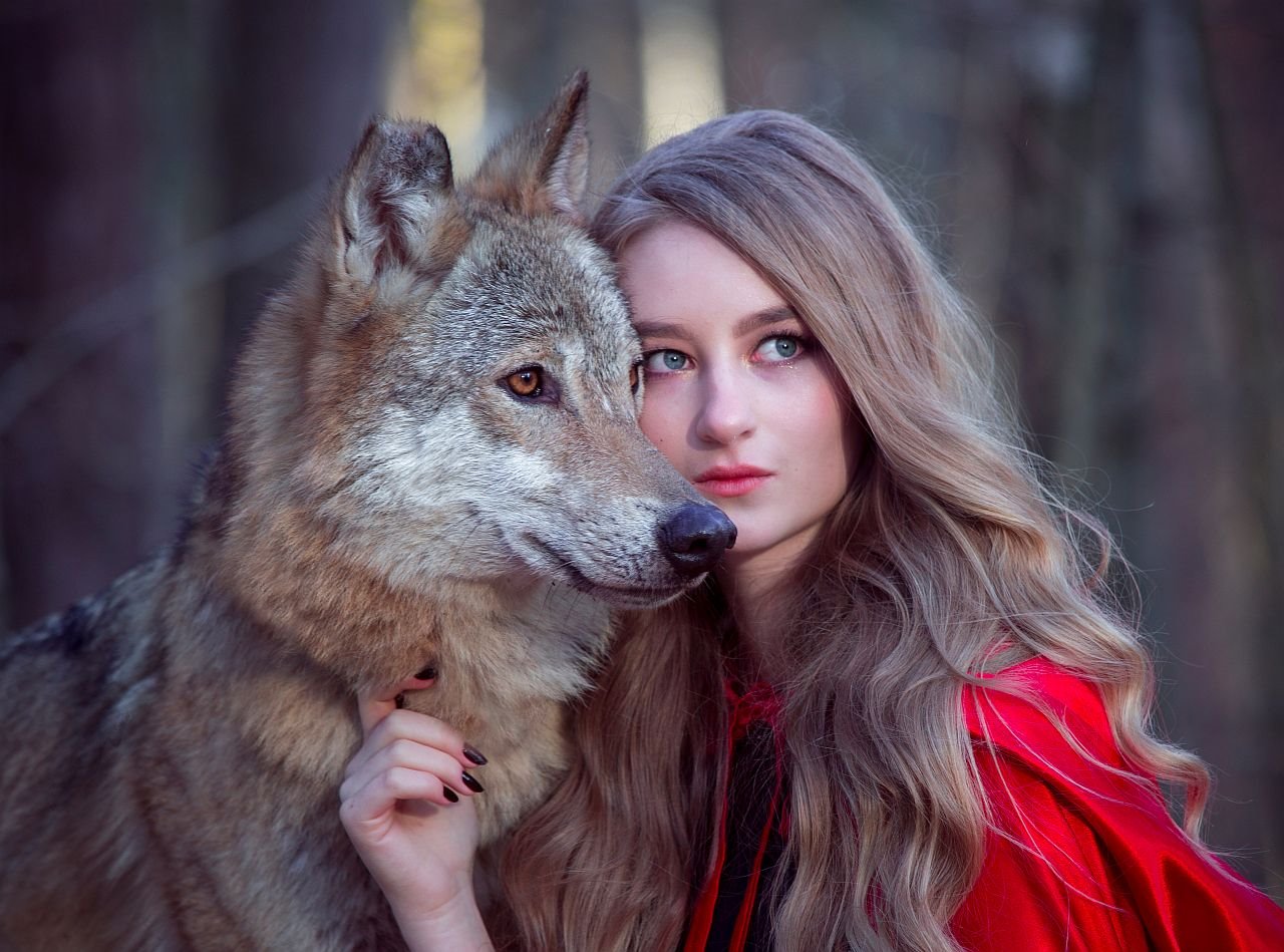 Test ličnosti sa 3 omiljene životinje.