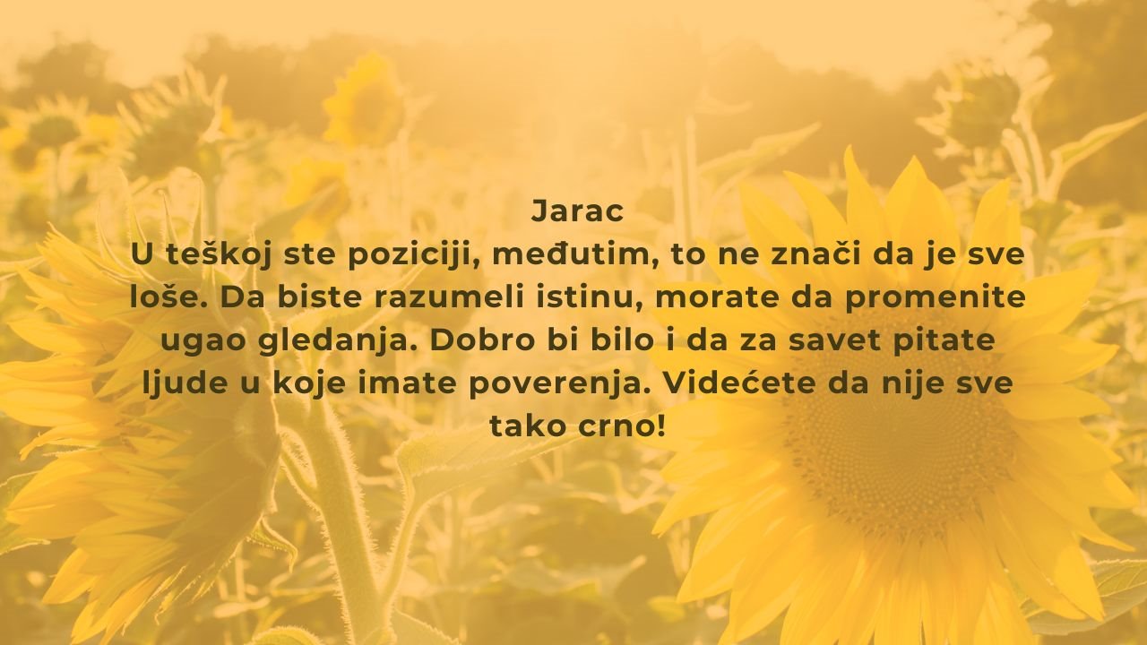 dnevni za 31 avgust (9).jpg