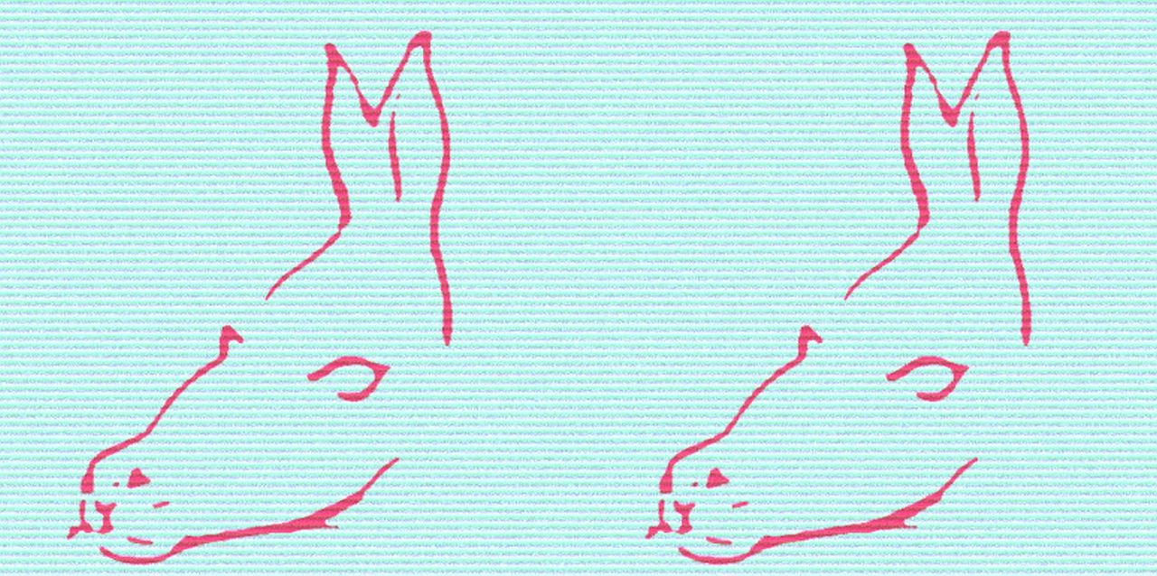 Test šta prvo vidite na slici otkriva kakva ste osoba.