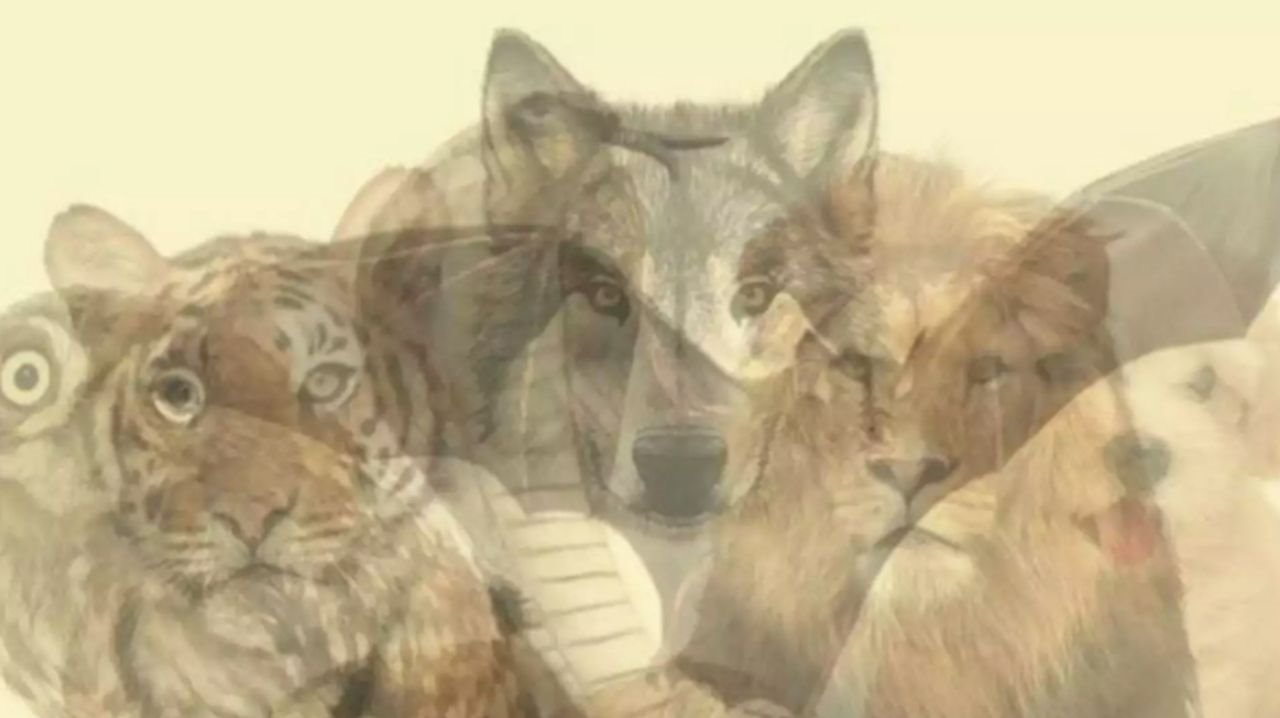 Test ono što prvo vidite na slici otkriva vaše skrivene osobine.jpg