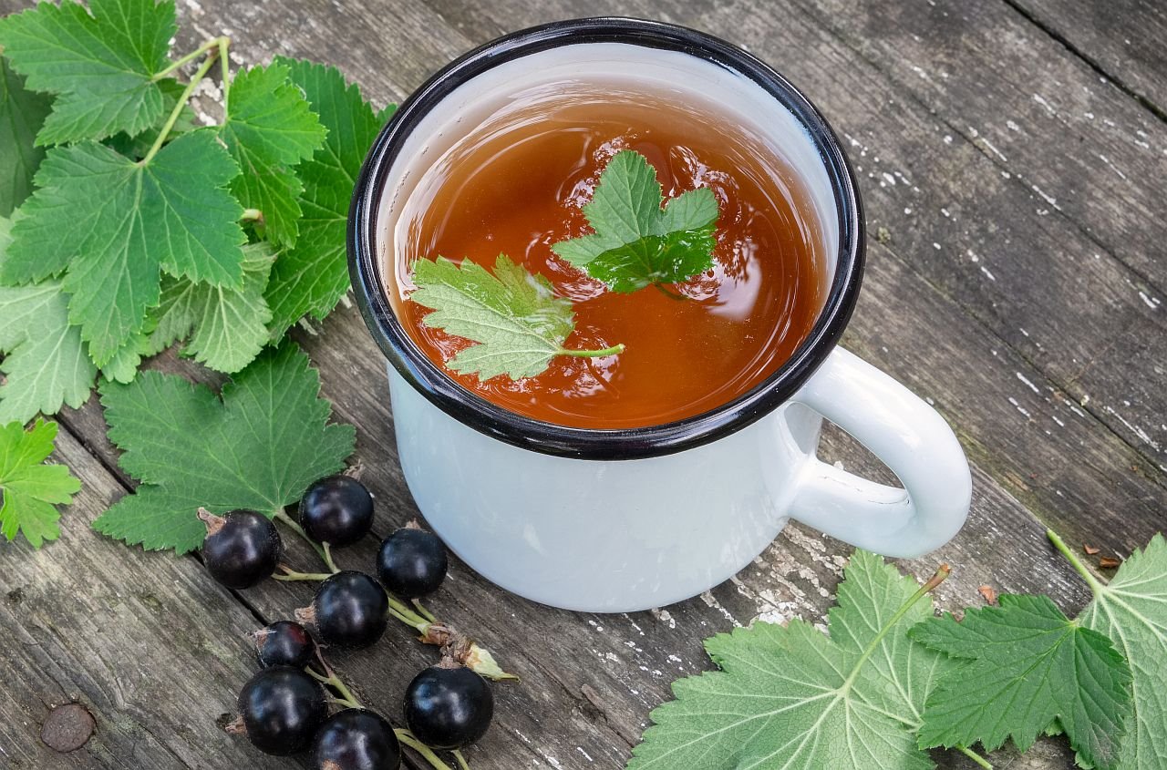 Otac Tadej čaj za reumu gastritis i zakrčenje vena.