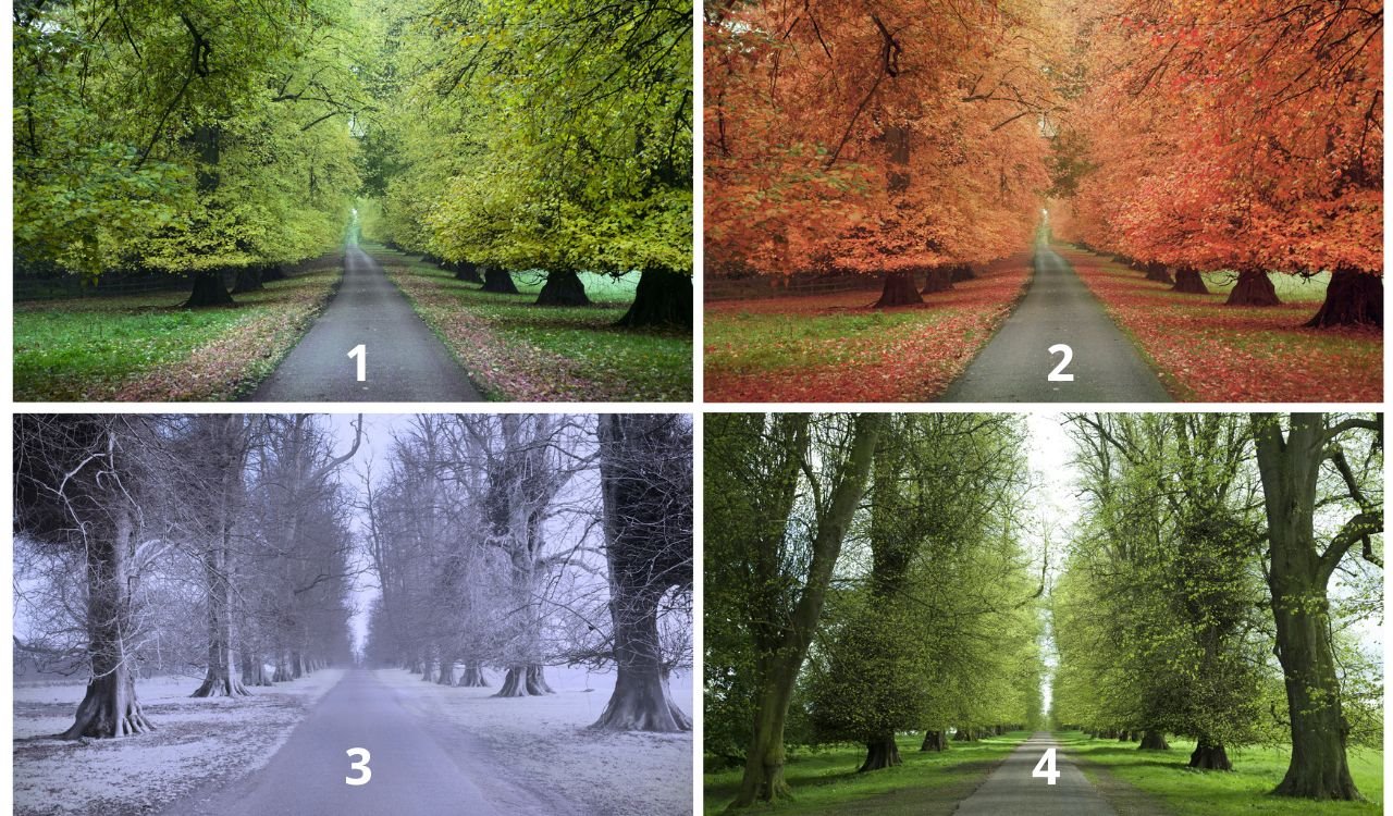 Test izaberite jednu stazu.