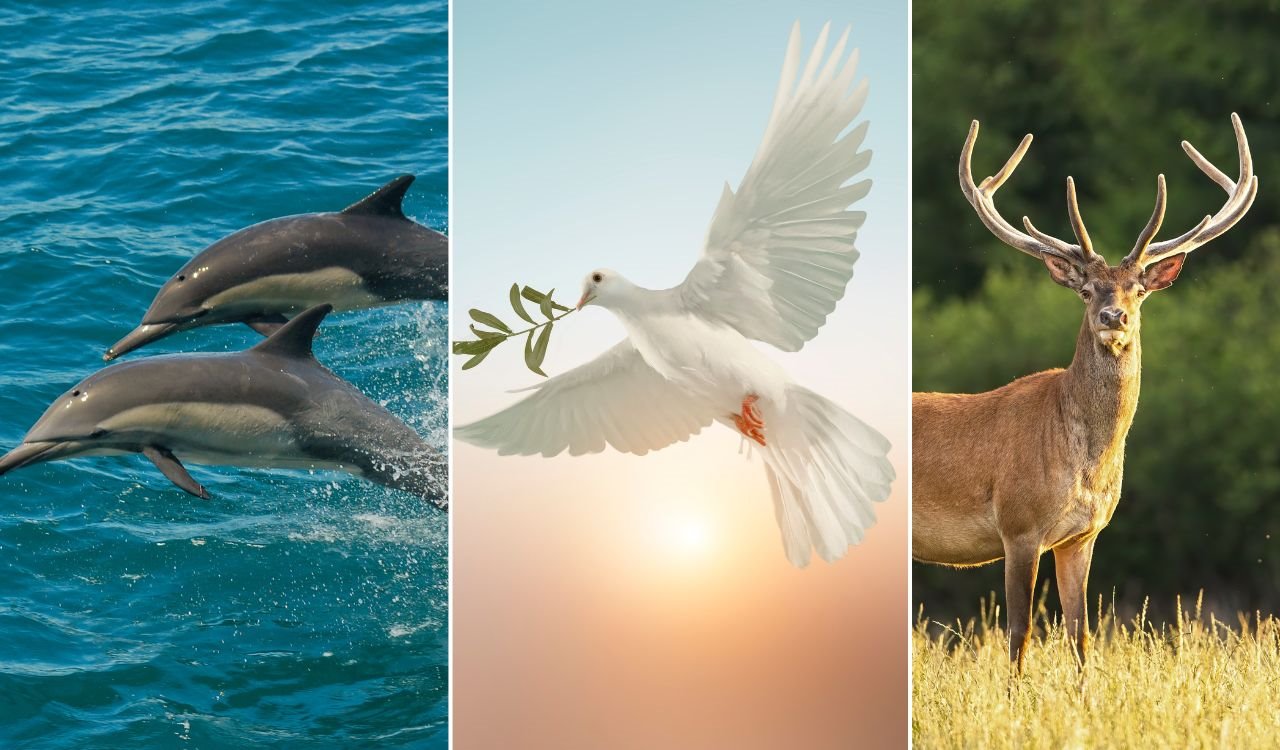 Test ličnosti izaberite jednu životinju.