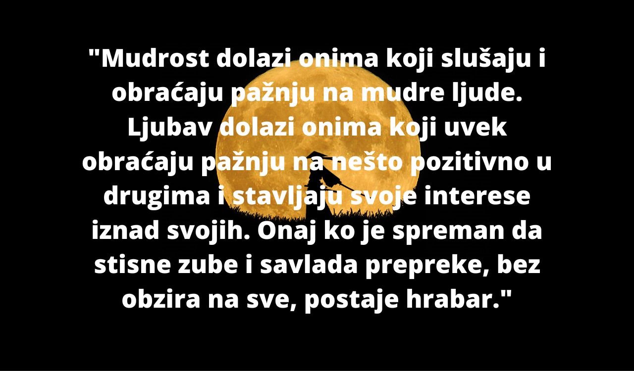 Citati samuraji (9).jpg