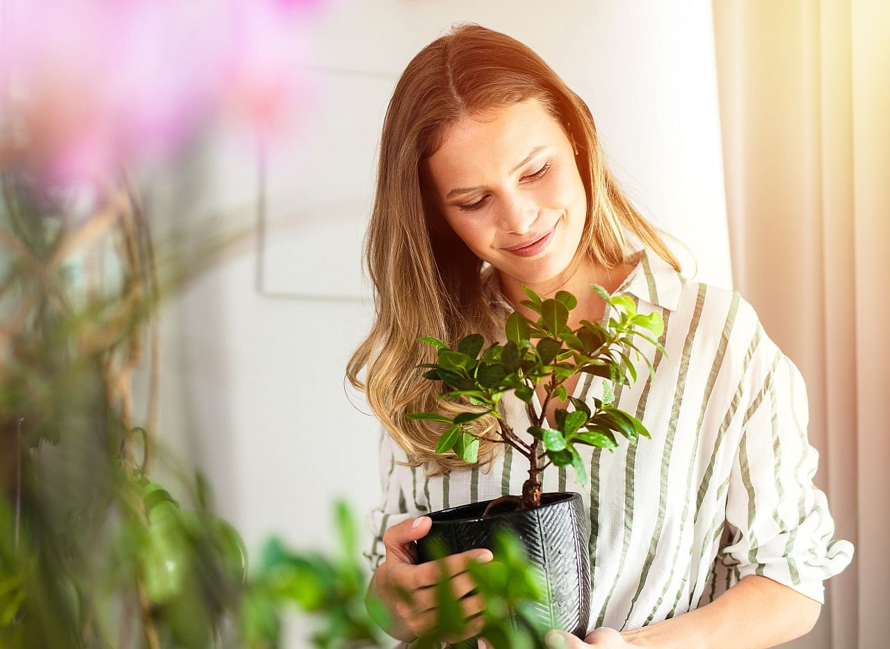 Feng šui čišćenje i sređivanje kuće