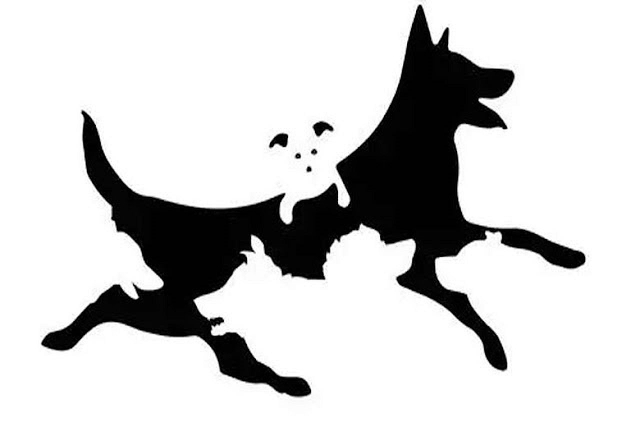 Test koji procenjuje vaše mentalne godine.