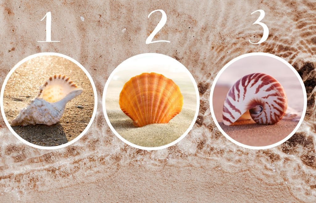 Test ličnosti izaberite školjku.