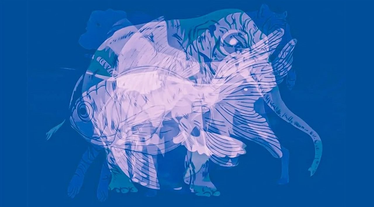 Test ličnosti otkriva kakav je vaš karakter.jpg