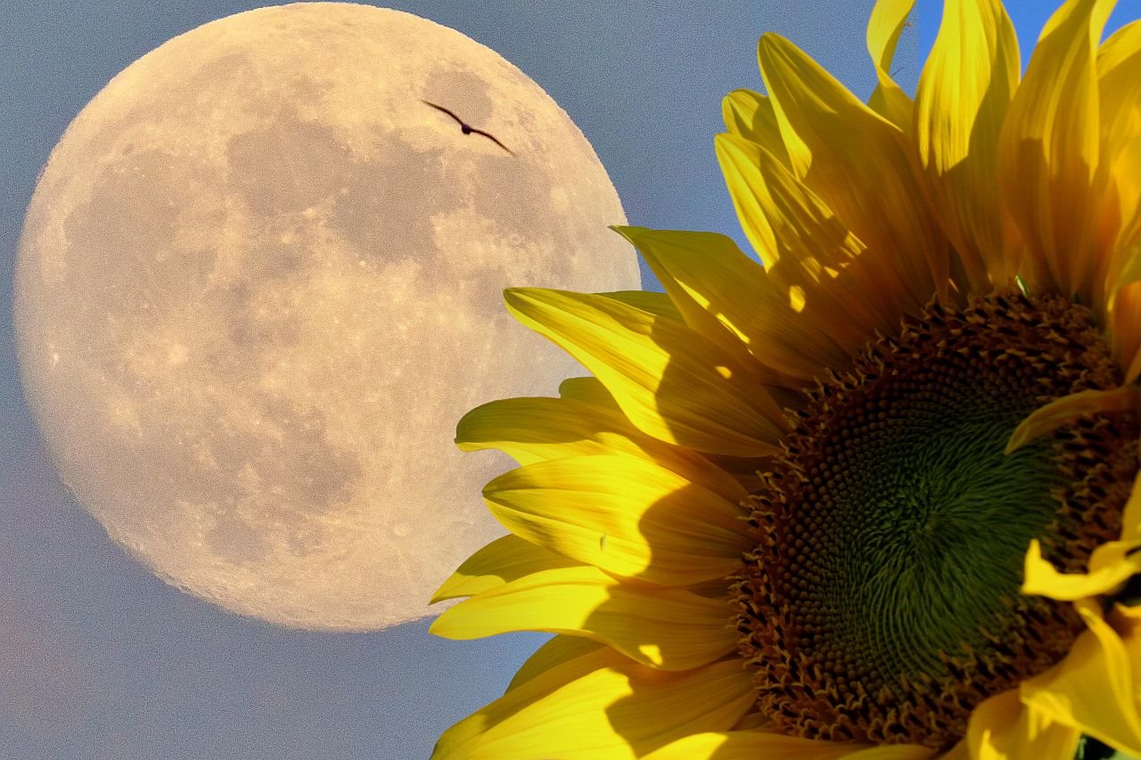 Horoskop za pun Mesec u Jarcu od 3 jula.