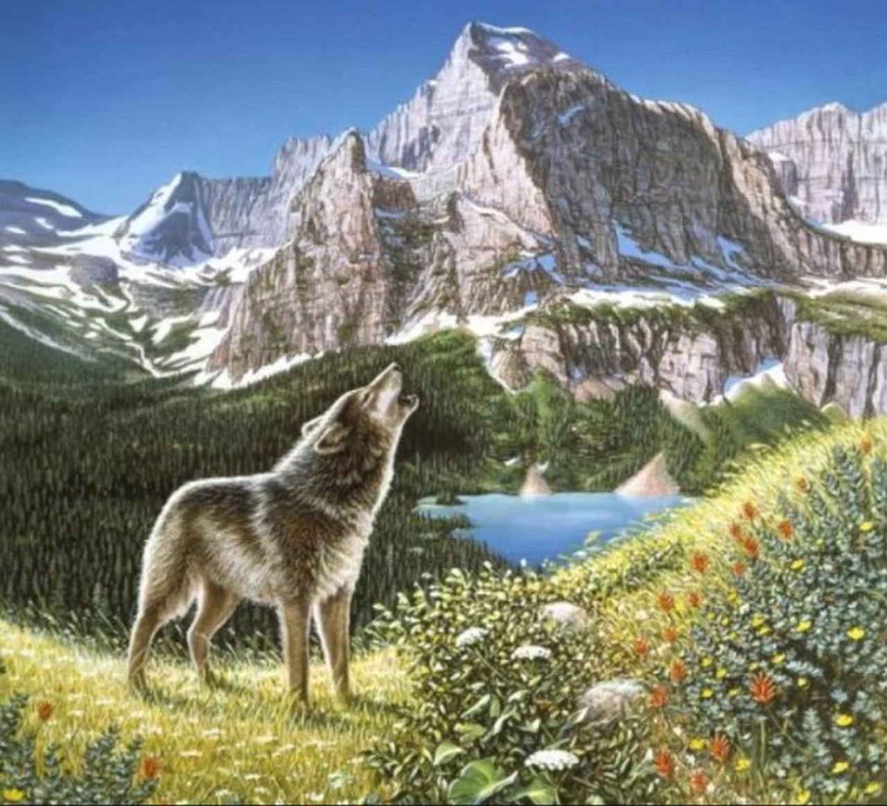 Test ličnosti kakva je vaša intuicija.jpg