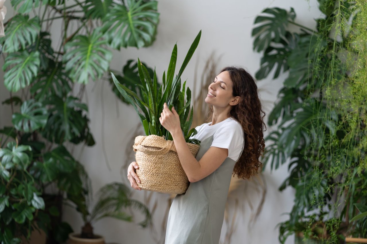 Saveti za održavanje kućnih biljaka dok ste na odmoru.