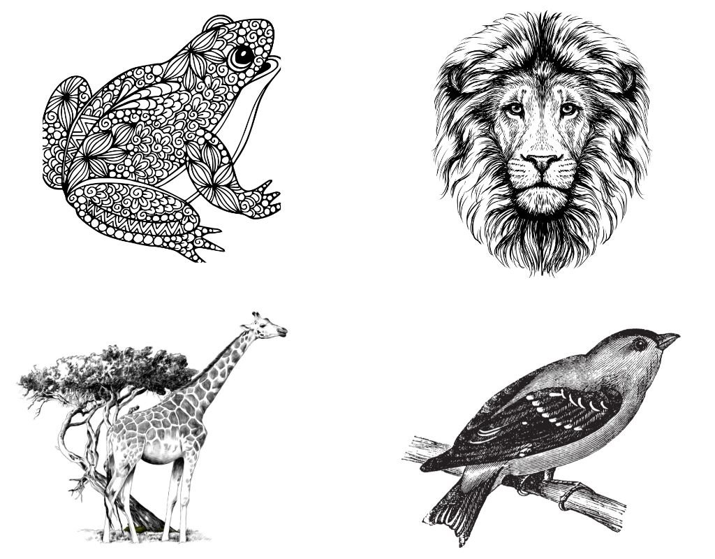 Test ličnosti izaberite životinju sa slike.jpg