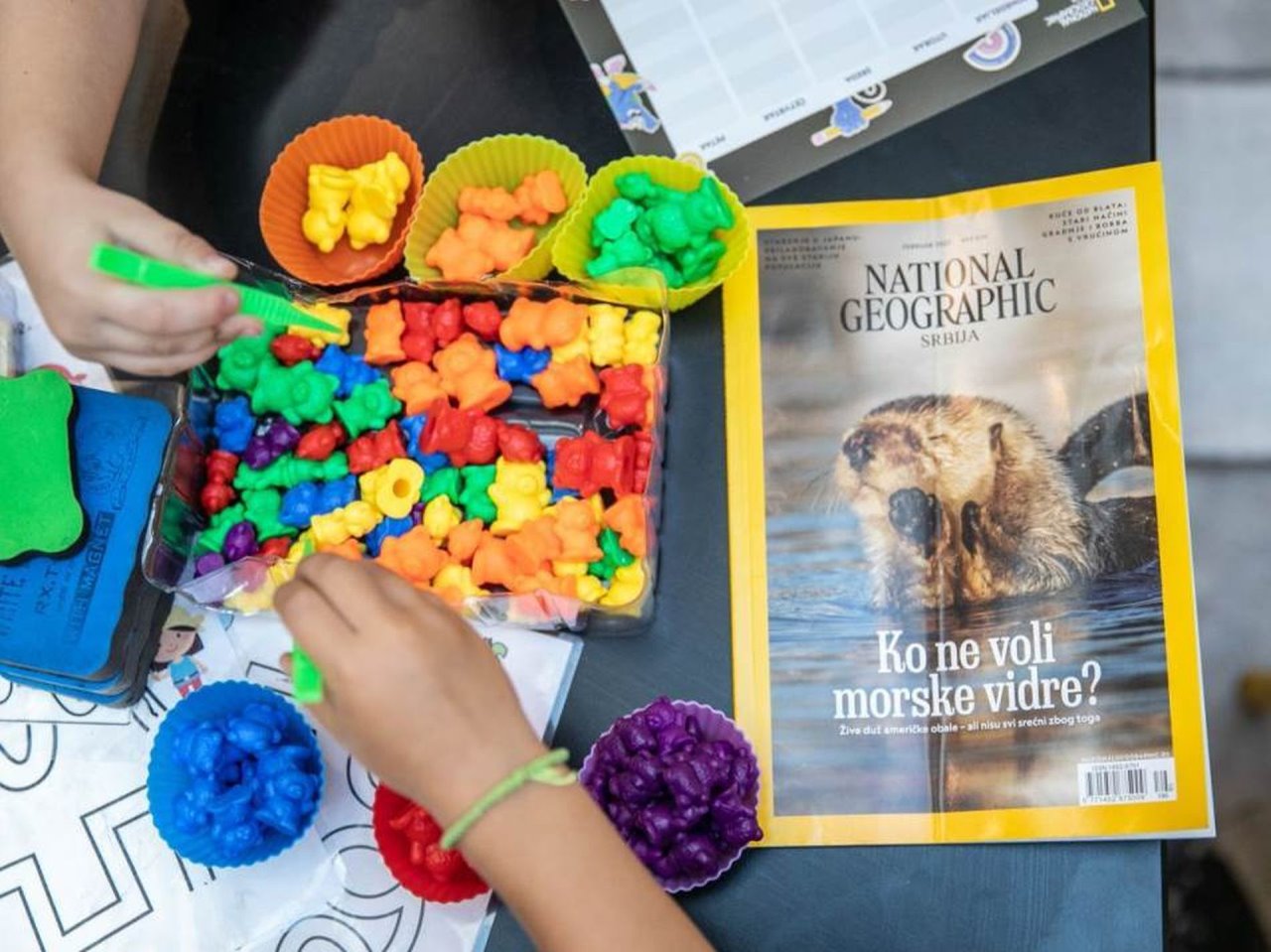 Održan je National Geographic festival za decu powerd by BIG FASHION17.jpg