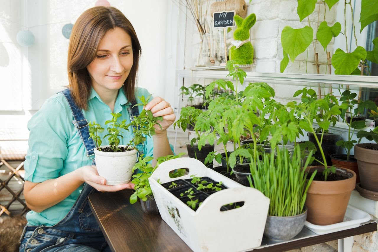 7 KUĆNIH BILJAKA KOJE UTIČU NA MENTALNO STANJE Podižu raspoloženje i motivaciju, a ne treba vam dvorište