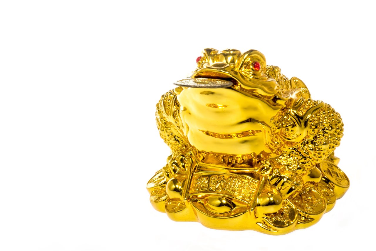 Test ličnosti put do bogatstva