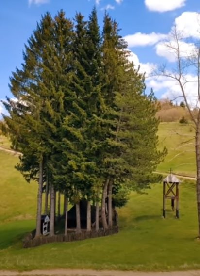 Brvnara Murtenica na Zlatiboru - (Zlatibor online).jpg