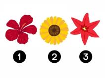 Tri cveta za test ličnosti