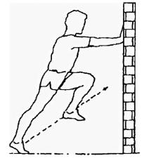 scale_1200 (30).jpg