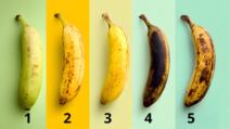 Banane poređane po stepenu zrelosti