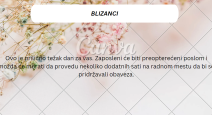 Blizanci.png
