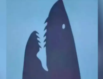test ličnosti.png